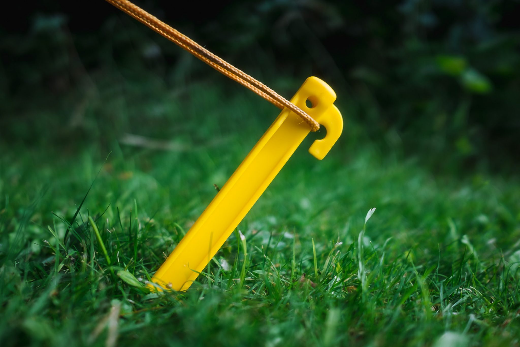 Best Tent Pegs – the Tastiest Camping 