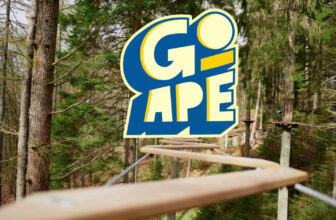 a walk way high up in the trees at coombe abbey Go Ape