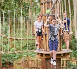 a group of children up high in the trees at go ape