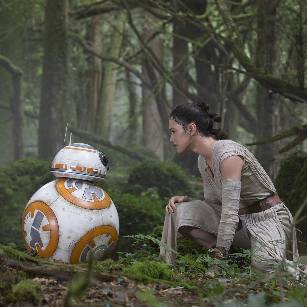BB 8 the round white droid from star wars has orange circles around his body and he is sat looking at rey who is crouching down talking to him. Both are in puzzlewood a mozzy maze of trees and rocks during the filming of star wars