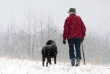 Best Waterproof Dog Walking Coat – For Owners and Dogs!